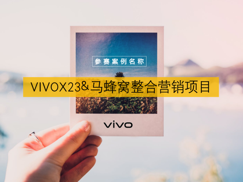 VIVOX23&马蜂窝整合营销项目